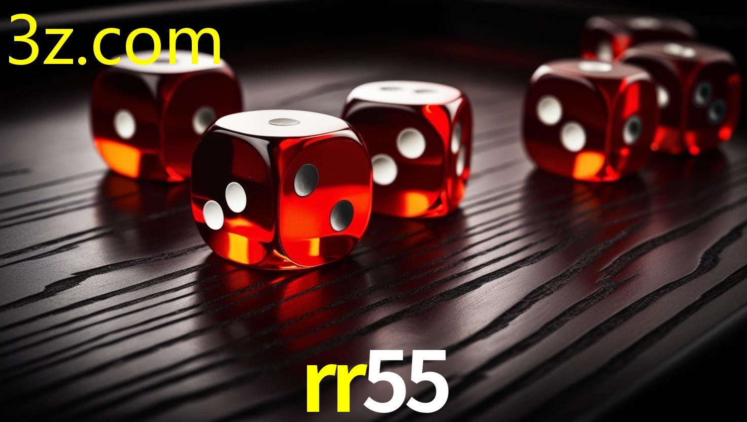 RR55.COM