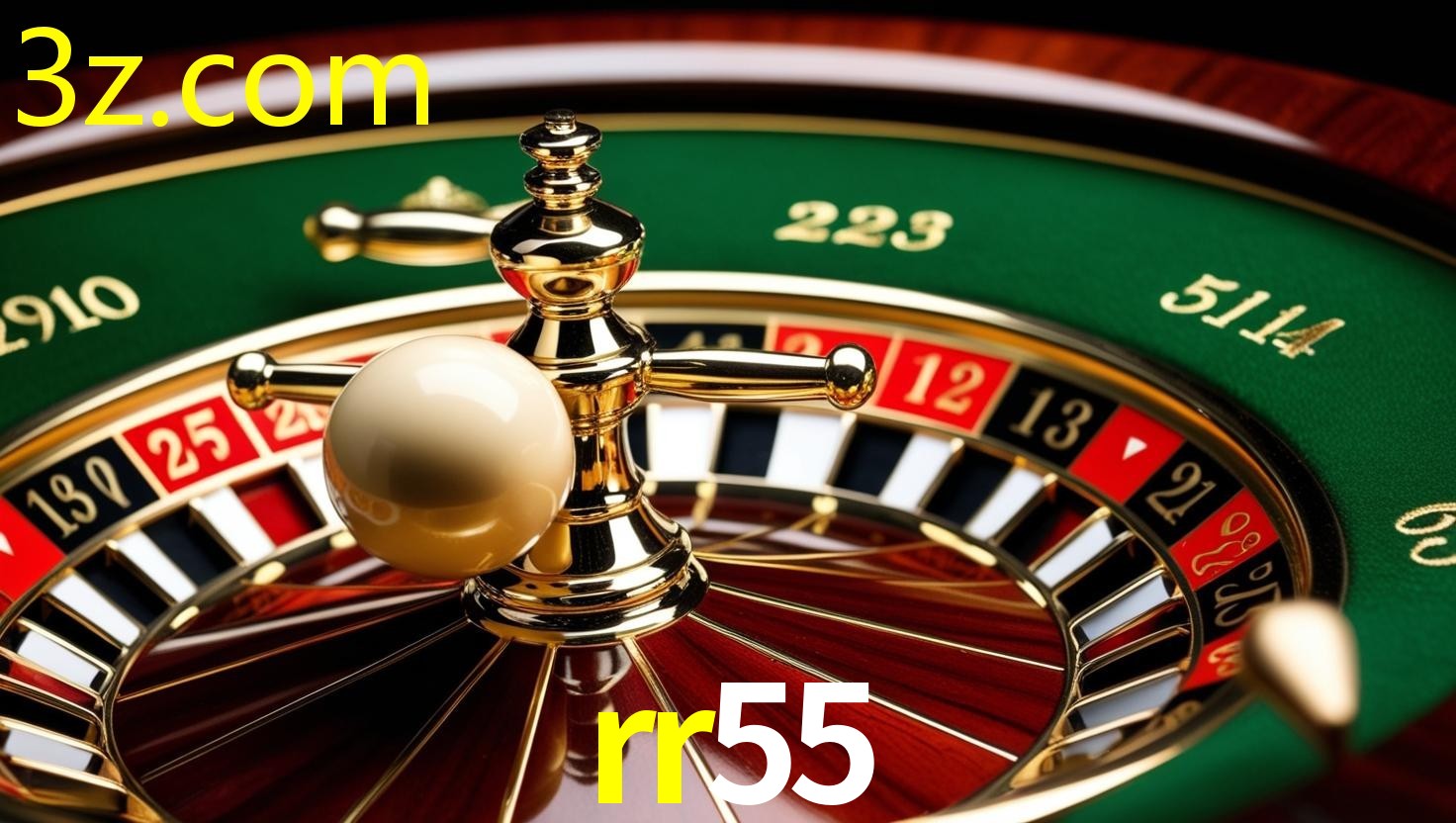 RR55.COM